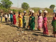 MP में 5 साल में सबसे कम बारिश, आधा प्रदेश सूखे की चपेट में; गेहूं-सोयाबीन उत्पादन पर असर