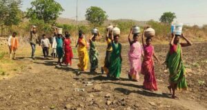MP में 5 साल में सबसे कम बारिश, आधा प्रदेश सूखे की चपेट में; गेहूं-सोयाबीन उत्पादन पर असर