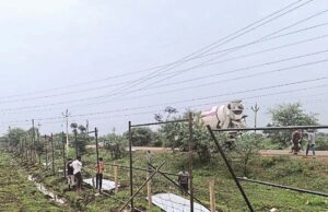 भिलाई नगर निगम की अनूठी पहल: जल प्रबंधन को बेहतर बनाने के लिए तैयार होगी एकीकृत योजना