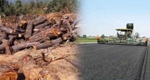 भोपाल मास्टर प्लान 2047 पर पर्यावरण की चिंता, 791 किमी सड़क नेटवर्क के लिए 2.89 लाख पेड़ों पर खतरा