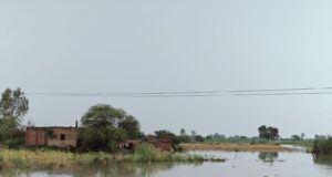 बाढ़ से नुकसान के बीच भूजल स्तर को फायदा, तेज बहाव से साफ हुई गोमती नदी