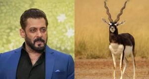 ‘काला हिरण’ फिल्म विवाद में सलमान खान से जवाब तलब, दिल्ली हाईकोर्ट में फिर गरमाया