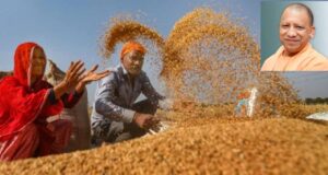 इस बार देश में धान खरीद में अपना ही रिकॉर्ड तोड़ेगी योगी सरकार