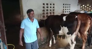 एक गाय से शुरू हुआ सफर, आज 10 पशुओं का समृद्ध पशुधन