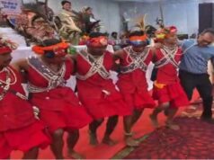 सेवा संकल्प अभियान में कलेक्टर ने ग्रामीणों संग किया मांदरी नृत्य
