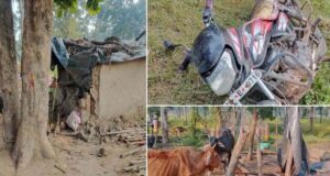 CG में हाथियों का तांडव, सुबह 3 बजे गांव में घुसे झुंड ने मवेशियों को कुचला