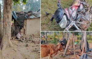 CG में हाथियों का तांडव, सुबह 3 बजे गांव में घुसे झुंड ने मवेशियों को कुचला