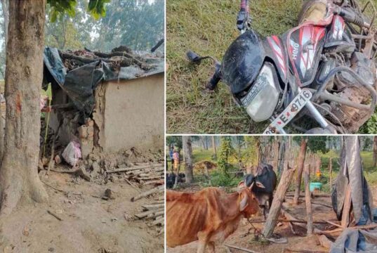 CG में हाथियों का तांडव, सुबह 3 बजे गांव में घुसे झुंड ने मवेशियों को कुचला