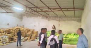 CG News: राजनांदगांव के औंधी में खुले में मिला जहरीले कीटनाशकों का जखीरा, मचा हड़कंप