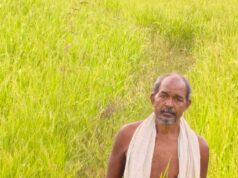 कृषक उन्नति योजना से शंकर प्रसाद की खेती को मिलेगा आर्थिक संबल, तीन एकड़ में सुगंधित धान की खेती पर मिलेंगे 45 हजार रुपये