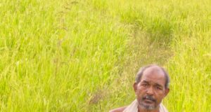 कृषक उन्नति योजना से शंकर प्रसाद की खेती को मिलेगा आर्थिक संबल, तीन एकड़ में सुगंधित धान की खेती पर मिलेंगे 45 हजार रुपये