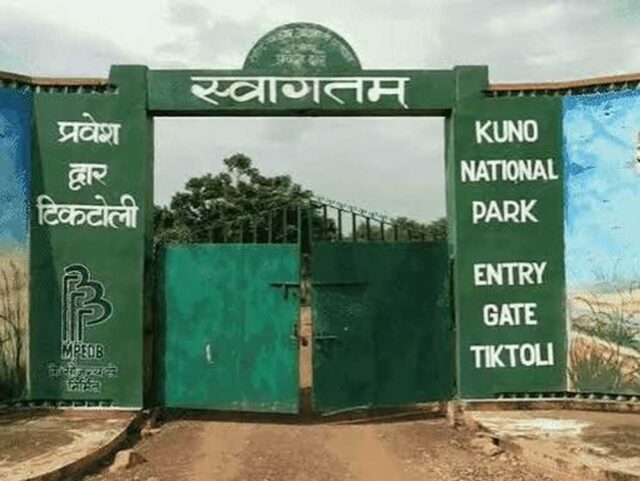 Kuni-1.jpg
