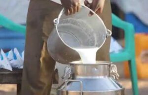 प्रदेश के 208 वृंदावन ग्रामों में होगी गोपाल-कृष्ण ग्राम पुरस्कार प्रतियोगिता