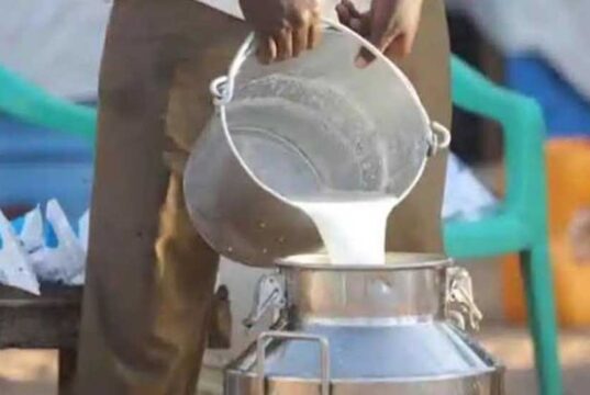 प्रदेश के 208 वृंदावन ग्रामों में होगी गोपाल-कृष्ण ग्राम पुरस्कार प्रतियोगिता