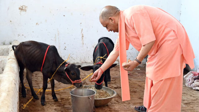 gopalak1.jpg