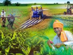 त्रिवर्षीय आबकारी नीति से निर्यात उछला तो यूपी में किसानों और उद्योगों के लिए बढ़े अवसर