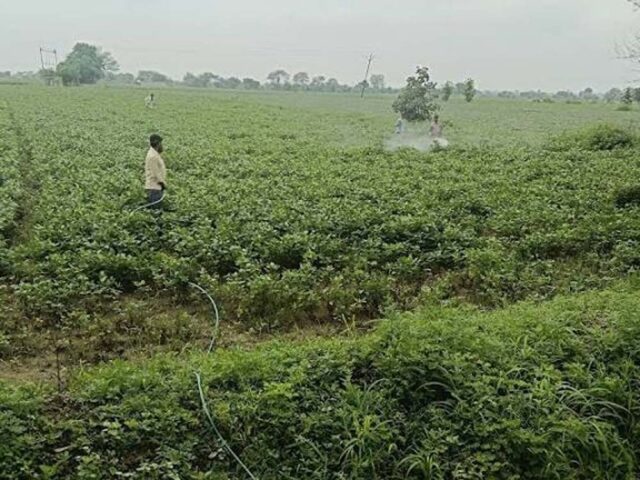 kISAN_08.jpg