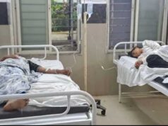 माता की मूर्ति विसर्जन यात्रा में मधुमक्खियों का हमला, मची भगदड़; 25 लोग घायल, 13 अस्पताल में भर्ती