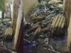 त्योहारों से पहले ग्वालियर पुलिस का एक्शन, अवैध पटाखों और विस्फोटक सामग्री के साथ दो गिरफ्तार