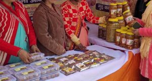 नवरात्रि विशेष: हमने लहराया अपने हुनर और हौसले का परचम