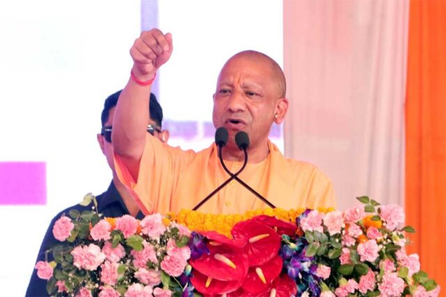 yOGI_01.jpg