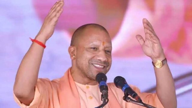 yogi0555.jpg