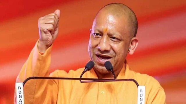 yogi1.jpg
