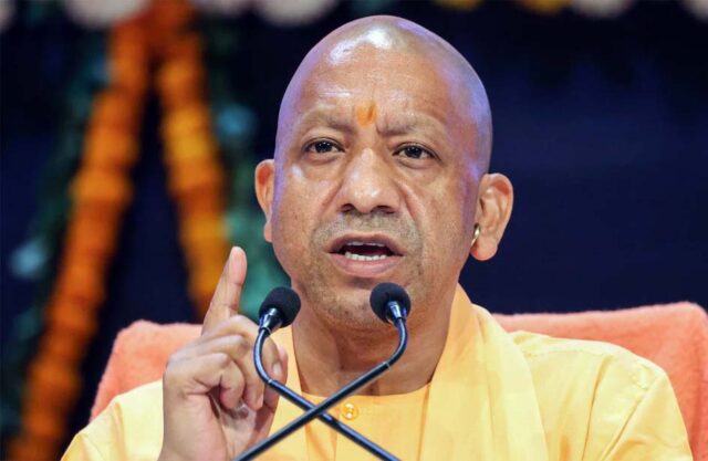 yogi2-1.jpg