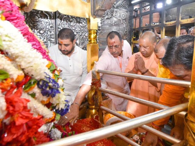 yogi2-2.jpg
