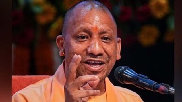 yogi2-3.jpg