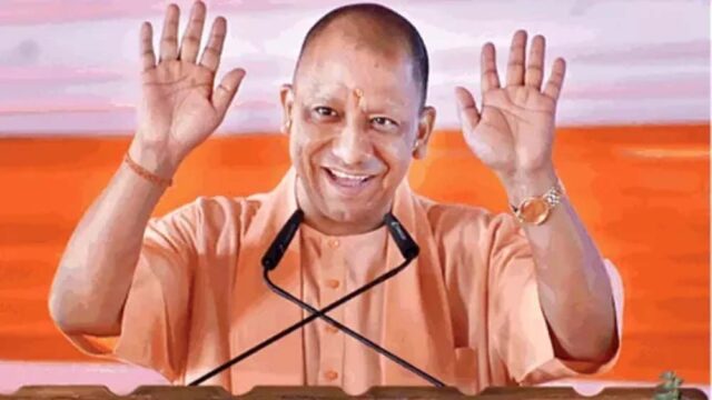 yogi2-4.jpg