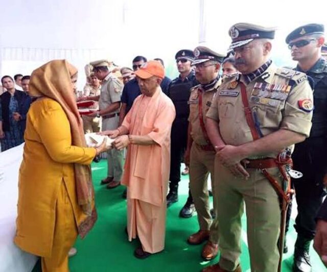 yogi2-5.jpg
