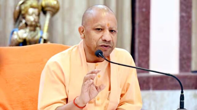 yogi2.jpg