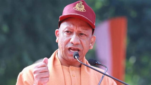 yogi5-5.jpg