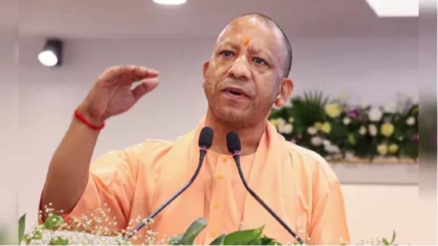 yogi5.jpg