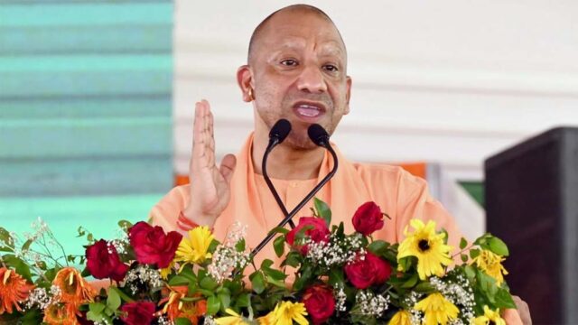 yogi6-1.jpg