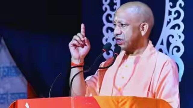 yogi8.jpg